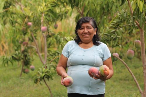 Campesinos en Piura