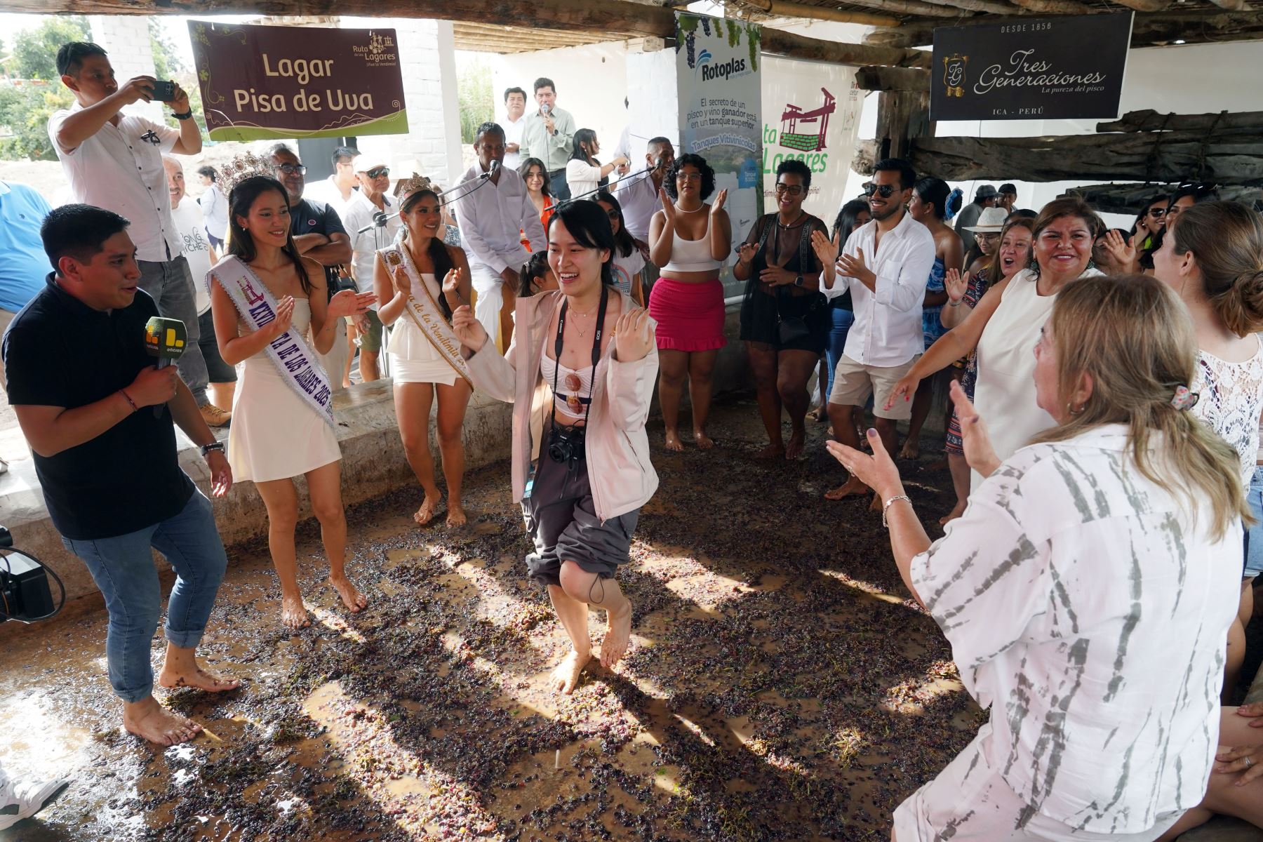 Los turistas fueron los que más se divirtieron durante los festejos del Festival Internacional de la Vendimia en Ica, como sucedió en la tradicional pisa de uva. Foto: Genry Bautista