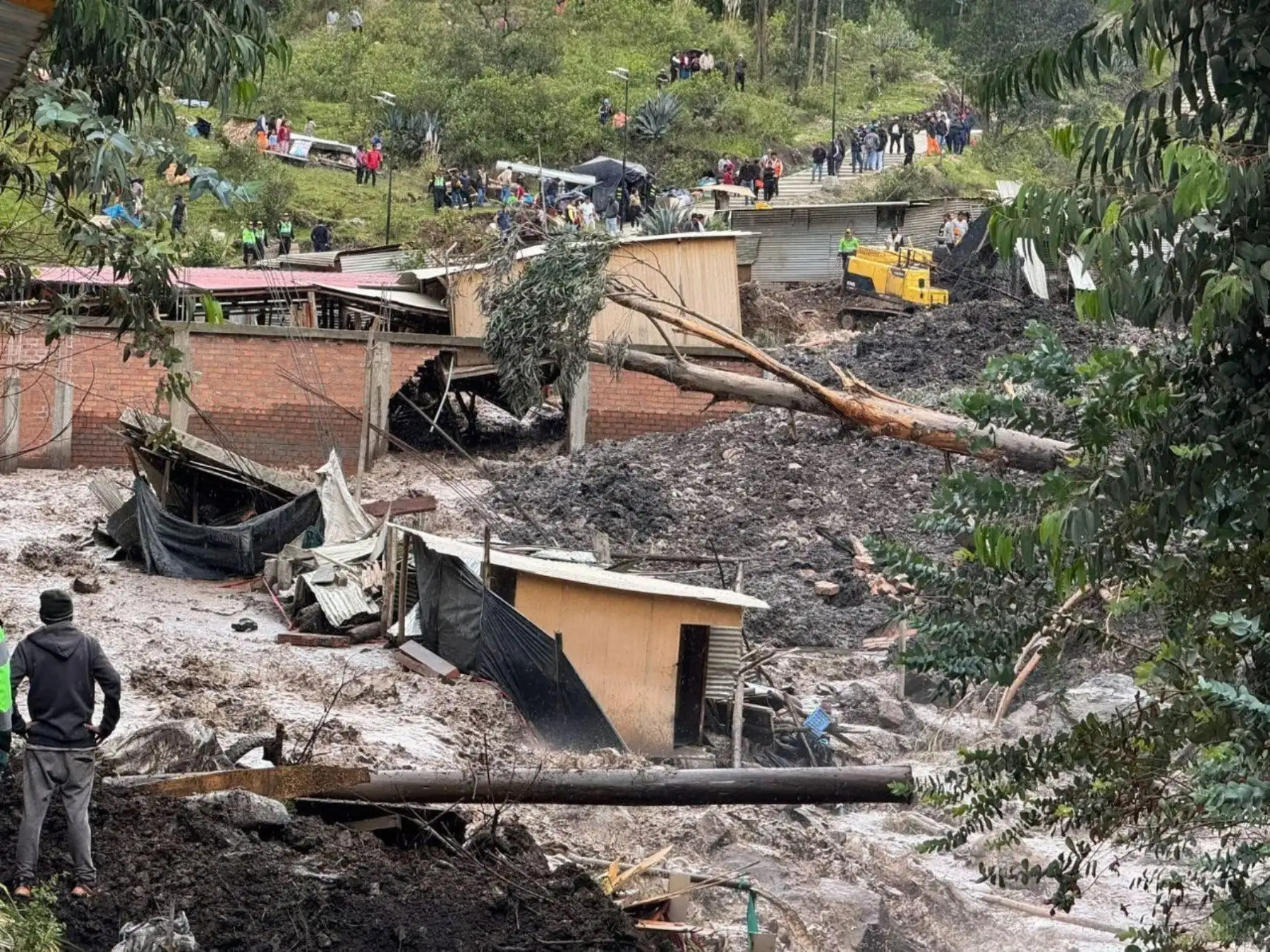 Foto: ANDINA/difusión.