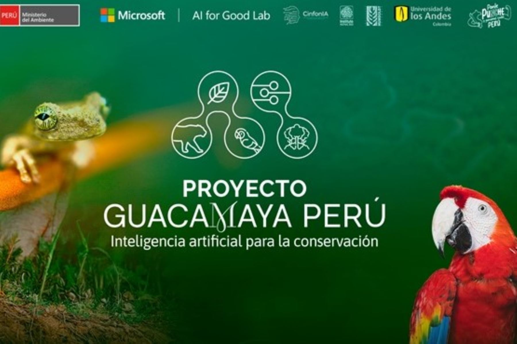 El Ministerio del Ambiente (Minam), en alianza con Microsoft, lanzó el proyecto Guacamaya Perú, iniciativa que permitirá a dicha plataforma el uso de la inteligencia artificial para el monitoreo, análisis y protección de los ecosistemas y recursos naturales de Perú. ANDINA/Difusión