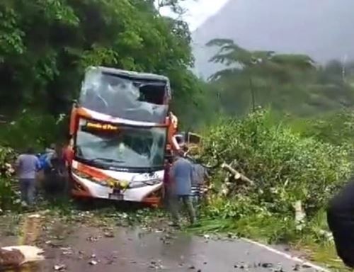 El ómnibus interprovincial de la empresa Móvil Bus sufrió daños tras la caída de un árbol a causa de un deslizamiento de tierra. El accidente ocurrió en la provincia de Oxapampa, región Pasco. ANDINA/Difusión