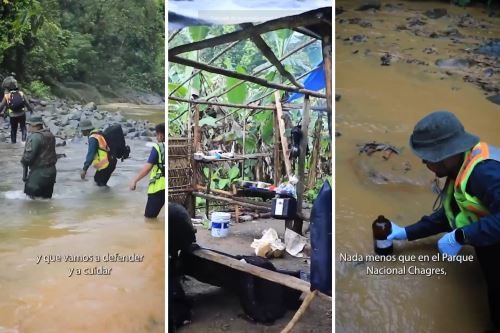 Imágenes tomadas de un video difundido por las autoridades panameñas sobre una intervención contra la minería ilegal en la cuenca del Canal de Panamá. Foto: INTERNET/Medios