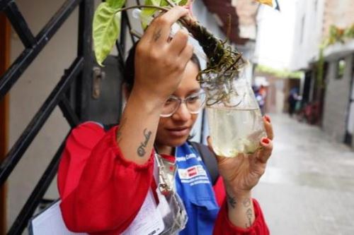 Dengue: eliminan criaderos del zancudo transmisor en 17,500 viviendas de Lima sur. Foto: ANDINA/Difusión.