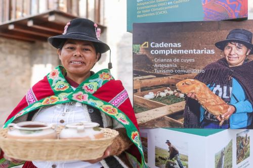 Lanzamiento del programa 