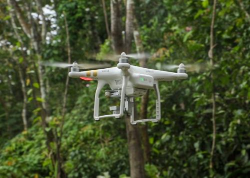 Una nueva herramienta tecnológica que emplea la inteligencia artificial y drones mejorará el monitoreo de bosques peruanos que realiza Osinfor. ANDINA/Difusión