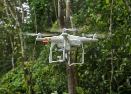Una nueva herramienta tecnológica que emplea la inteligencia artificial y drones mejorará el monitoreo de bosques peruanos que realiza el Osinfor. Foto: ANDINA/difusión.