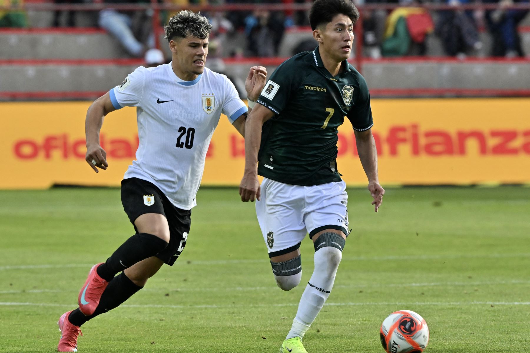 El mediocampista uruguayo, Maximiliano Araujo y el delantero boliviano, Miguel Terceros disputan el balón durante el partido de las eliminatorias sudamericanas de la Copa Mundial de la FIFA 2026 entre Bolivia y Uruguay en el estadio Municipal de El Alto en El Alto, Bolivia.
Foto: AFP