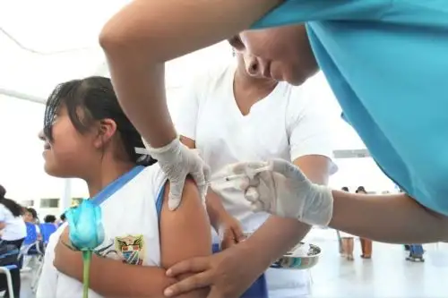 Todo va quedando listo para la semana de protección de la salud más importante a nivel nacional. Foto: ANDINA/Difusión.