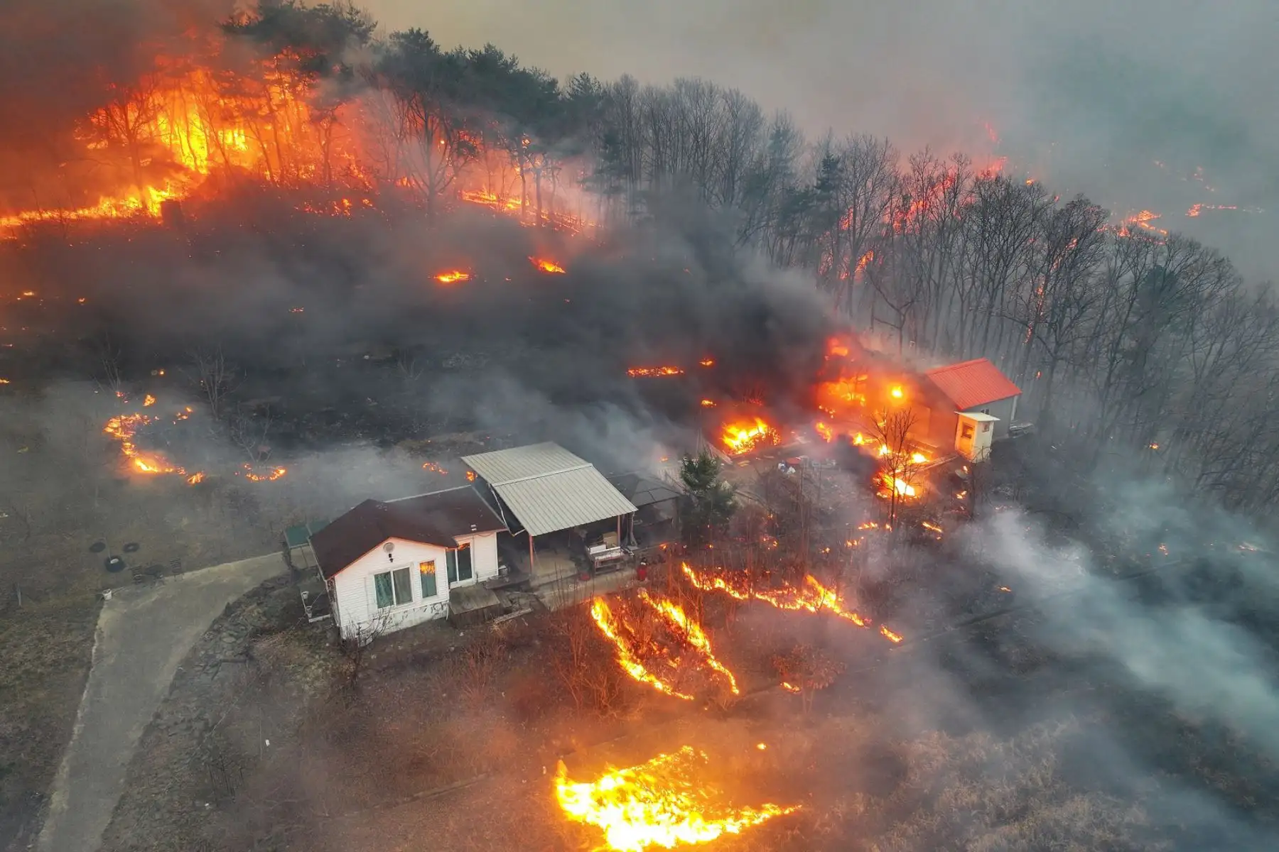 Al menos 24 personas han muerto a causa de los incendios forestales que asolan el sudeste de Corea del Sur desde hace seis días y que los equipos de extinción continuaban tratando de controlar. Foto: EFE