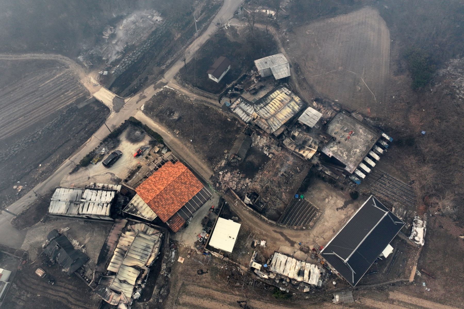 De las 24 víctimas de los incendios forestales, 20 fueron encontradas en Uiseong y cuatro eran de Sancheong, según cifras de las 16:00 (7:00 GMT) de la Sede Central de Contramedidas de Seguridad y Desastres del país asiático. Foto: EFE