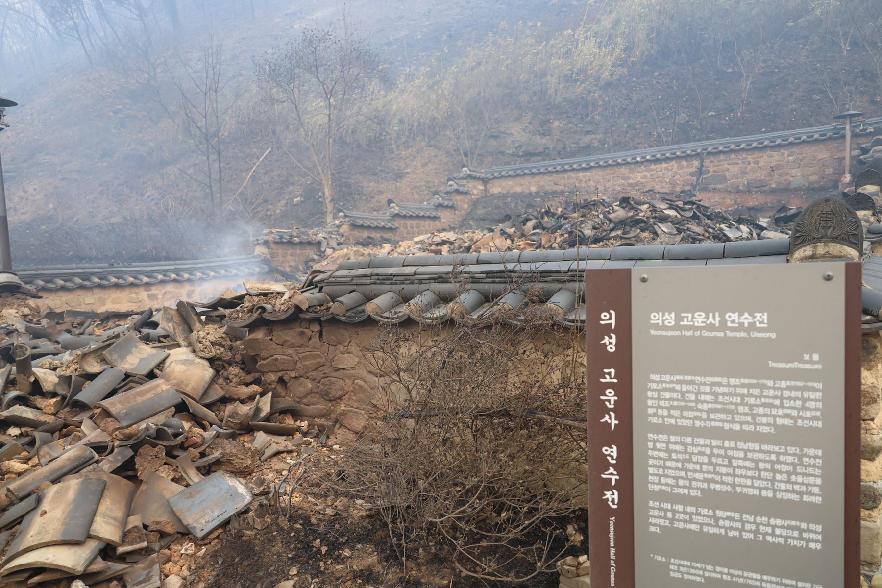 De las 24 víctimas de los incendios forestales, 20 fueron encontradas en Uiseong y cuatro eran de Sancheong, según cifras de las 16:00 (7:00 GMT) de la Sede Central de Contramedidas de Seguridad y Desastres del país asiático. Foto: EFE