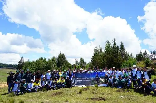 Cajamarca: Huella Verde superó meta de plantar más de millón y medio de árboles