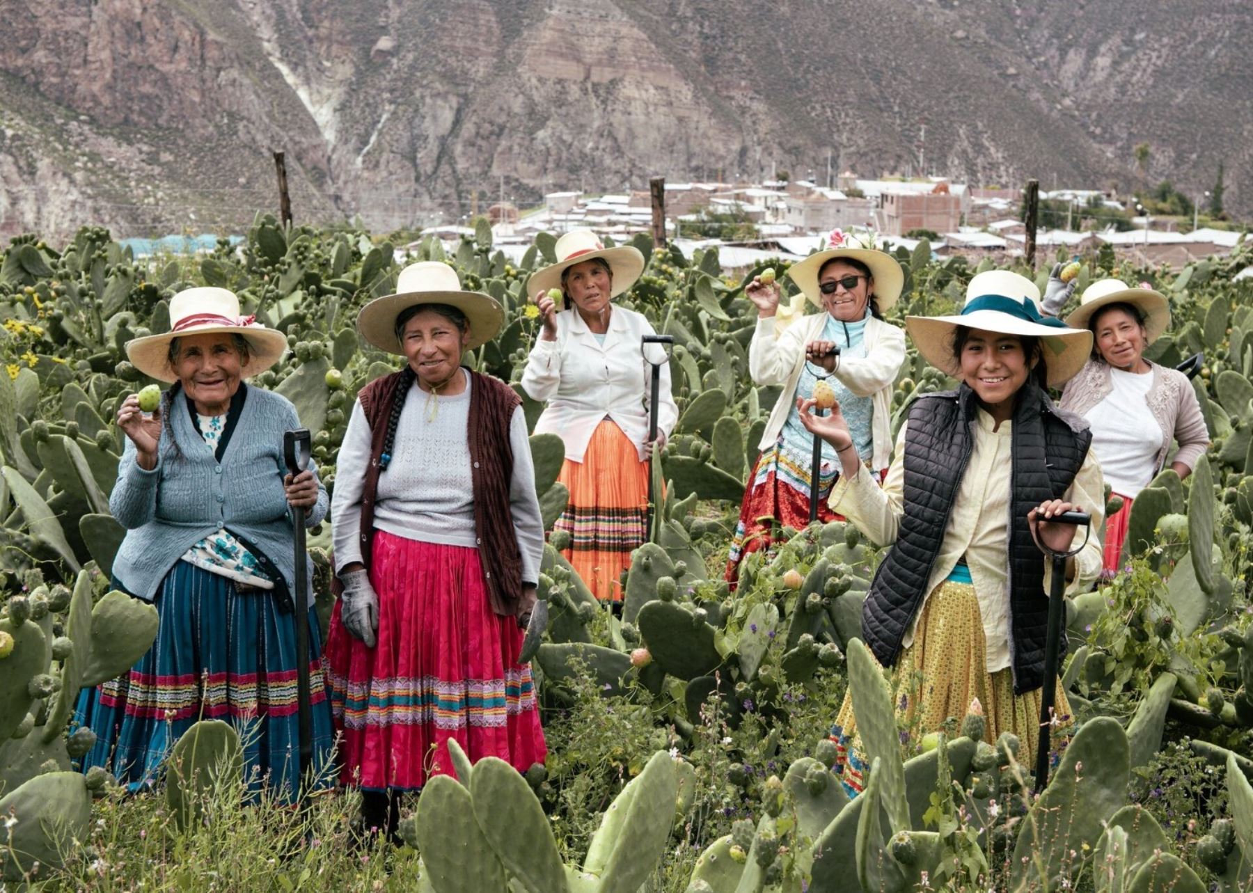 El Midagri recordó que este 31 de marzo cierra la convocatoria para acceder a la Estrategia Emprendimiento de la Mujer Rural e Indígena. ANDINA/Difusión