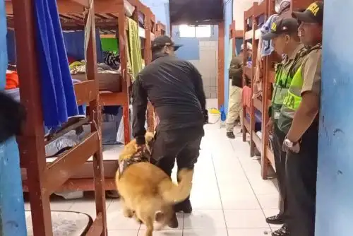 ANDINA/Difusión