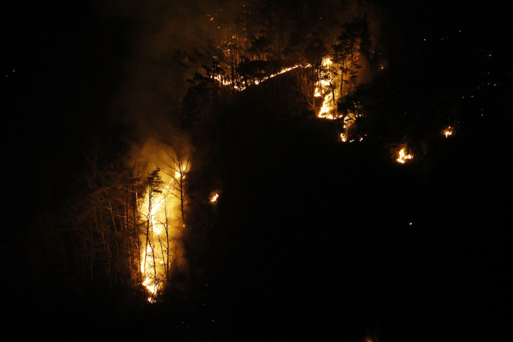 Incendio forestal en la montaña del condado de Cheongsong, provincia de Gyeongsang del Norte, Corea del Sur. Corea del Sur lucha contra los incendios forestales en la región sureste, descritos por las autoridades como los más grandes registrados, con al menos 27 muertos, según la Sede Central de Medidas Contra Desastres y Seguridad. Foto: EFE