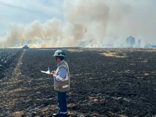 El OEFA iniciará una cruzada en Arequipa para evitar que los productores arroceros de Camaná e Islay continúen quemando pajilla de este cereal y así reducir la contaminación ambiental que genera esta actividad. ANDINA/Difusión