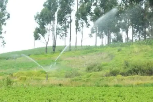 Con estas inversiones, el Midagri ratifica su compromiso con el crecimiento de la agricultura en Arequipa,