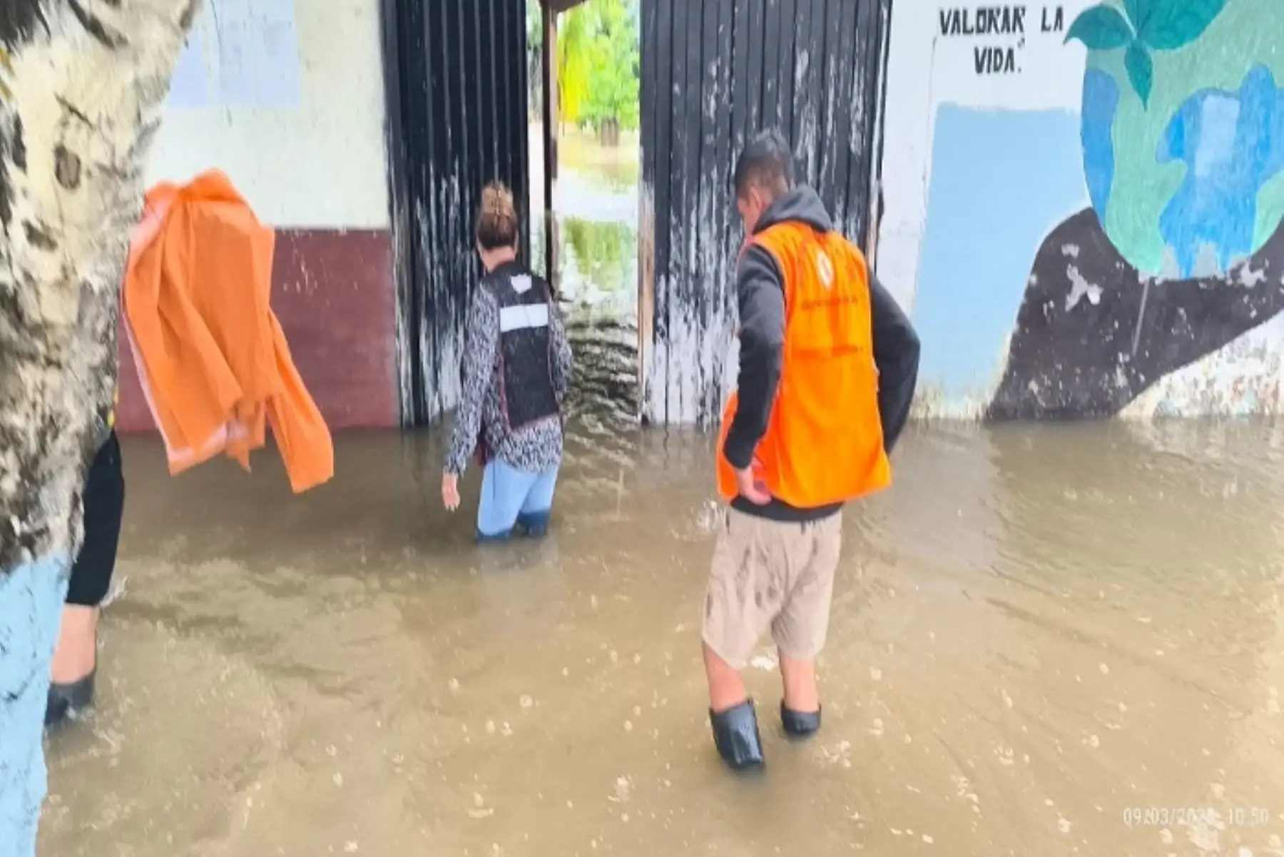 Las lluvias e inundaciones también dañaron 324 hectáreas de plátano, 117.3 hectáreas de cacao, 22 hectáreas de arroz y 43.5 hectáreas de maíz y papaya.
