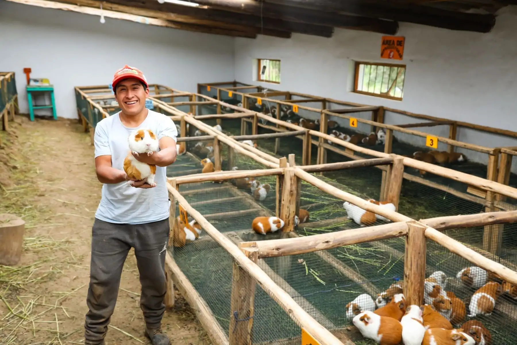 Más de 36,000 hogares rurales, usuarios del Foncodes, se beneficiarán con la inversión que hará este programa social para impulsar los pequeños emprendimientos productivos. Foto: ANDINA/difusión.