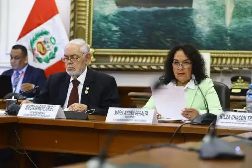 ANDINA/Difusión