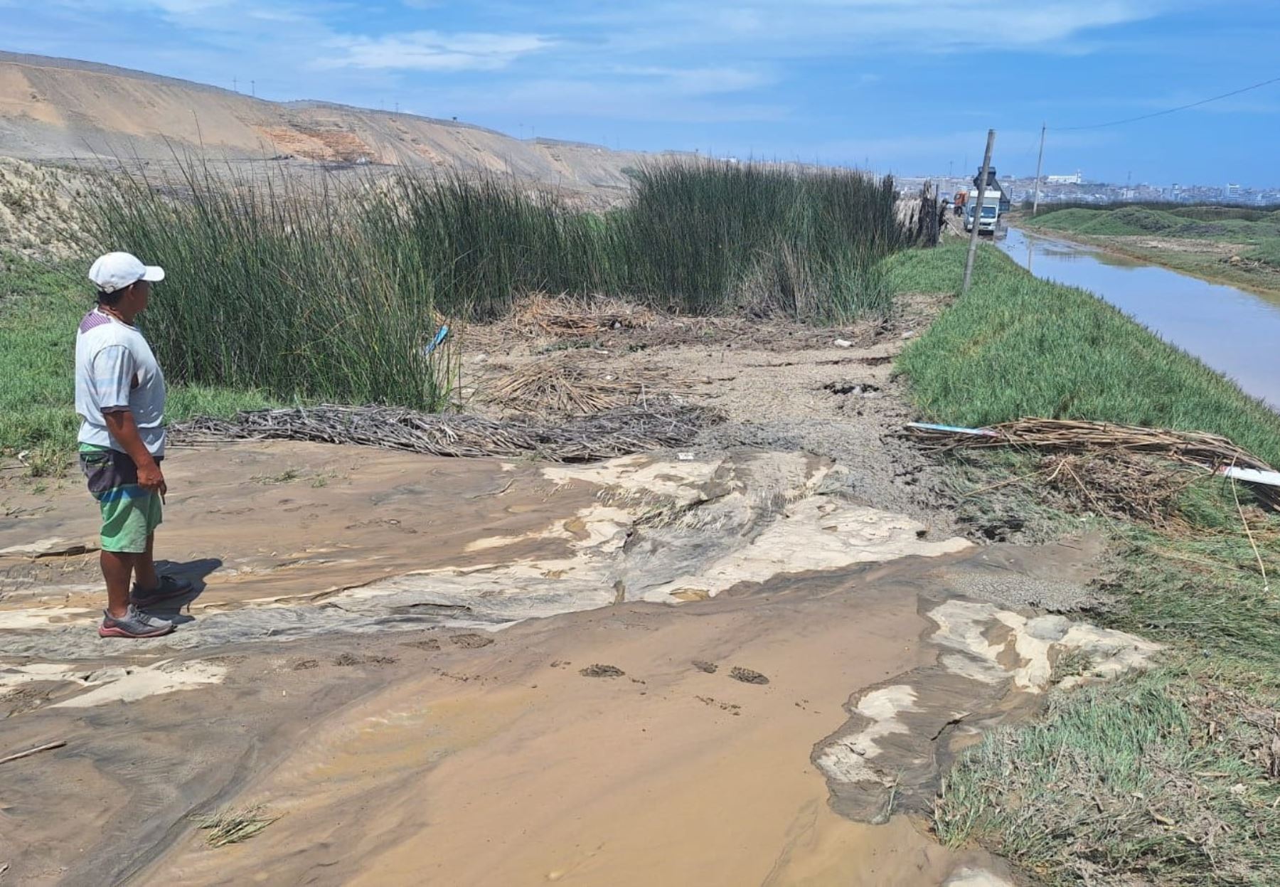 Derrame de aguas residuales en la provincia de Trujillo afecta a 1.5 kilómetros de humedales de totora ubicadas en el distrito de Huanchaco. Foto: Luis Puell