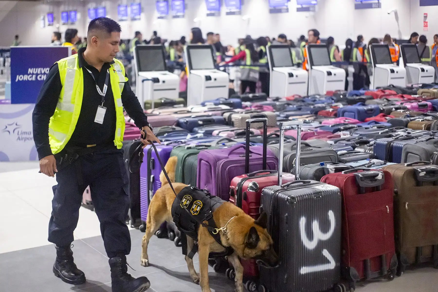 Nuevo Aeropuerto Jorge Chávez tiene un avance del 99,90% para su puesta en operación, señala Ositran. Foto: LAP