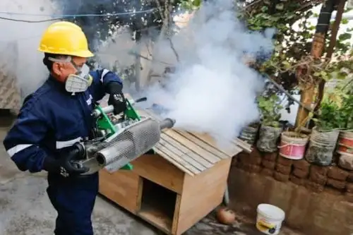 Los departamentos que concentran el mayor número de casos de dengue son San Martín, Loreto, Piura, Cajamarca, Amazonas, Tumbes y Ucayali. Foto: Minsa