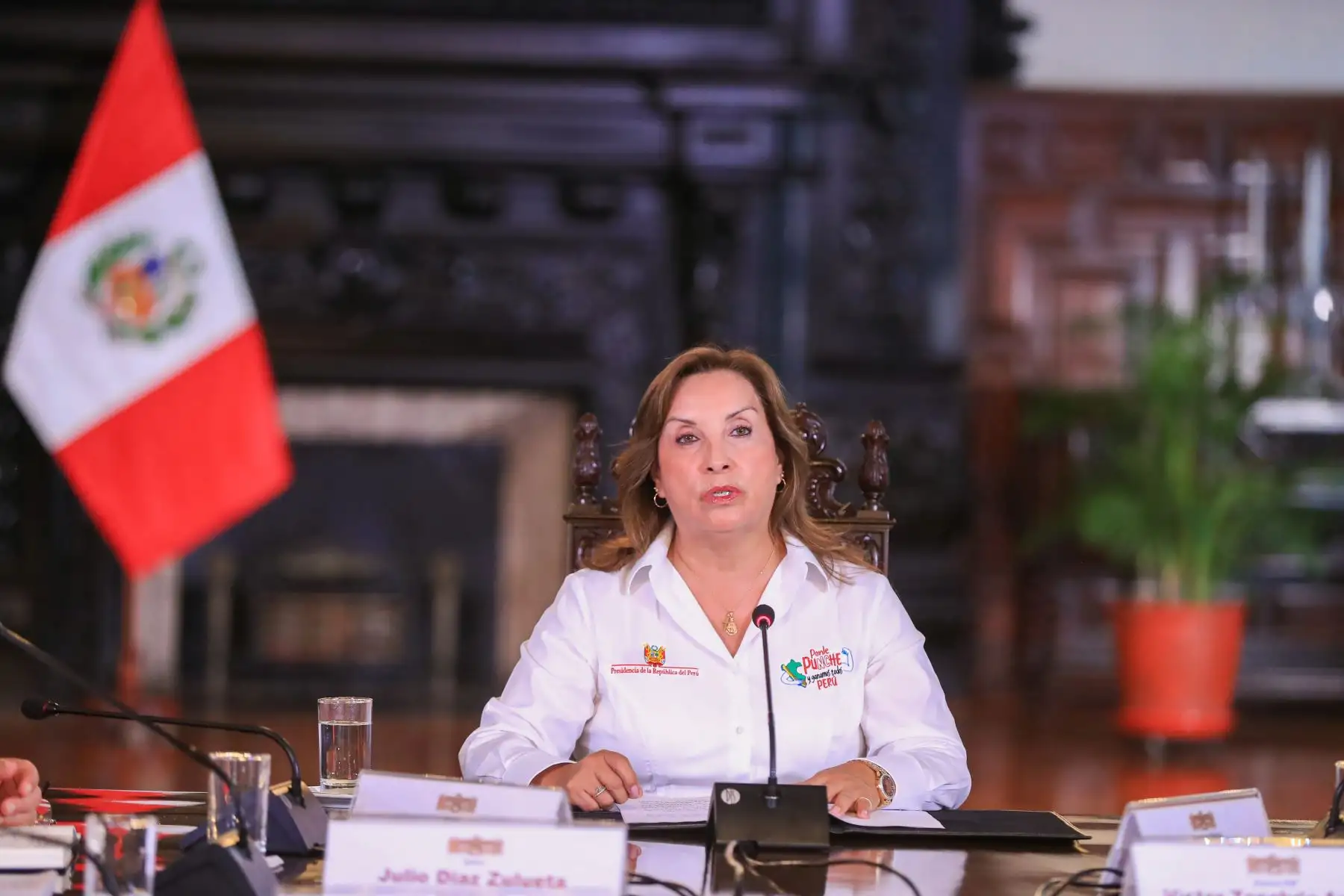 Foto: ANDINA/Prensa Presidencia.