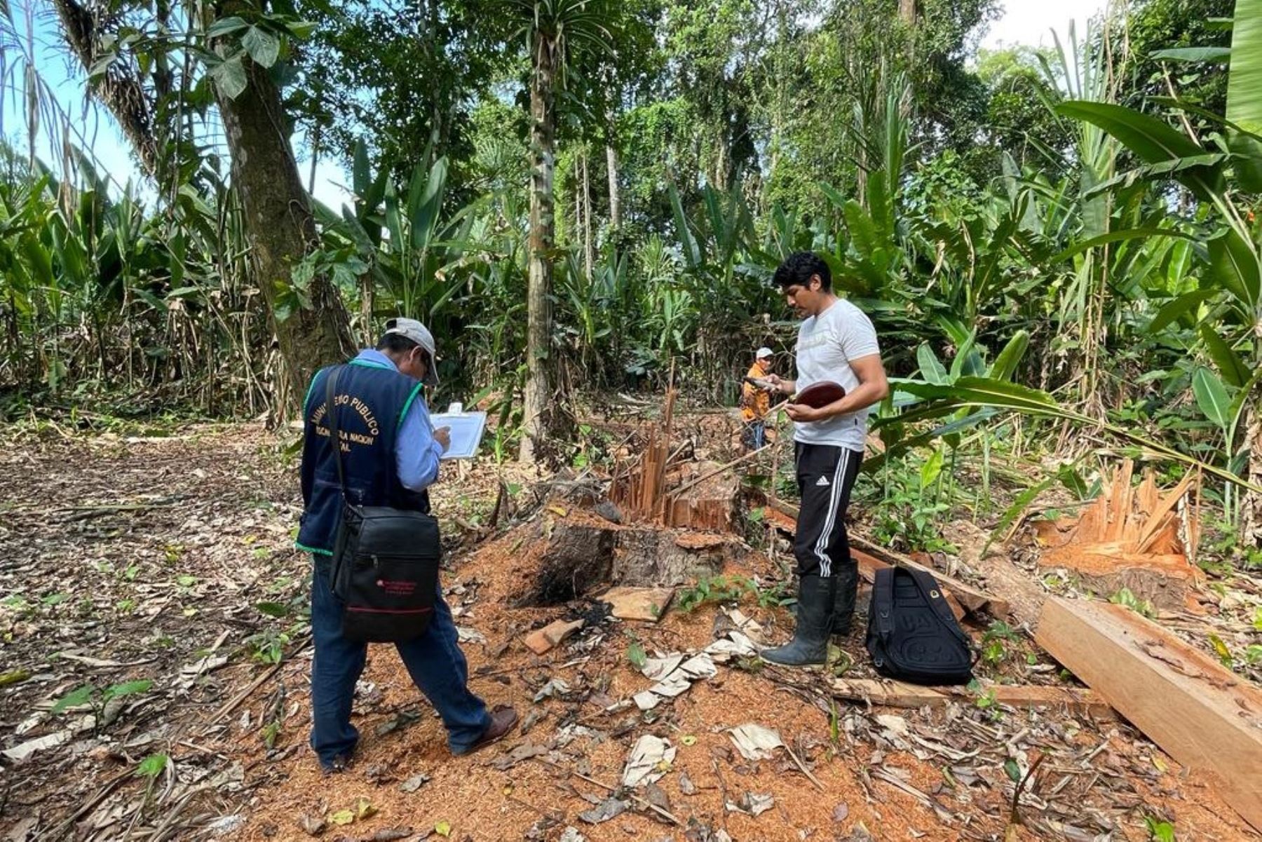 El convenio buscará contribuir a la conservación efectiva de los bosques en las comunidades nativas. Foto: MP