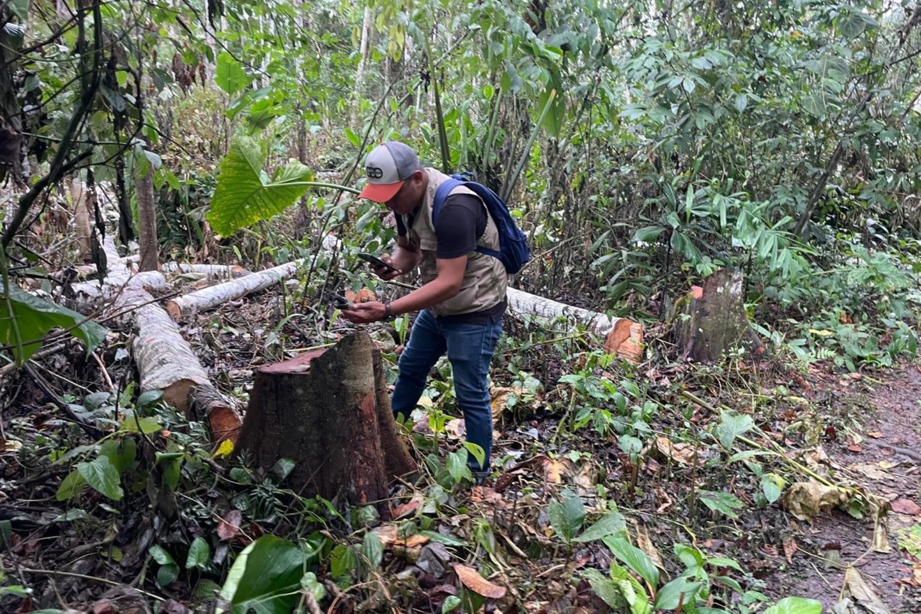 El convenio buscará contribuir a la conservación efectiva de los bosques en las comunidades nativas. Foto: MP