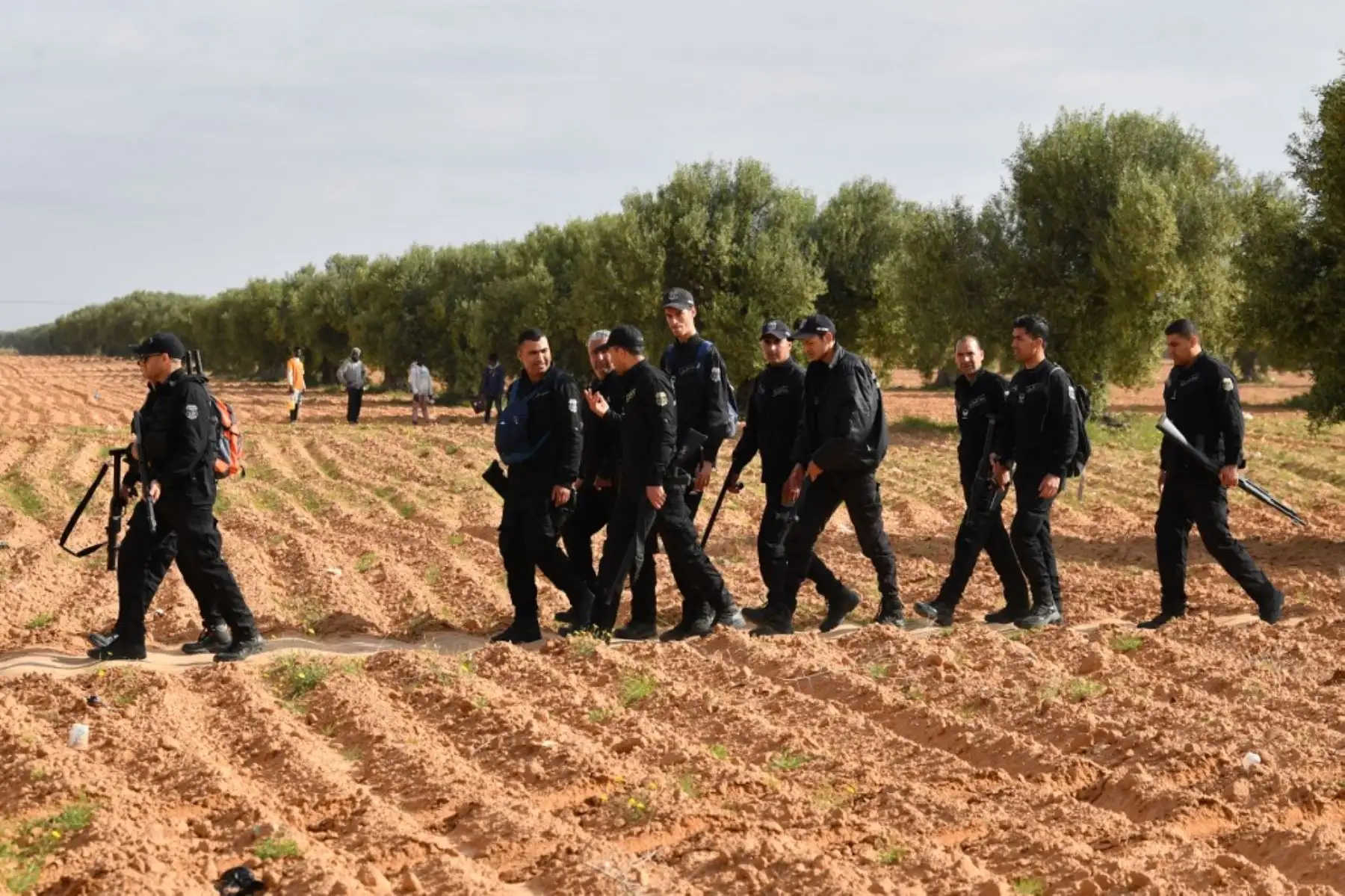 La policía de Túnez llega para desmantelar un campamento para migrantes indocumentados del África subsahariana en Al-Amra, a las afueras de la ciudad portuaria tunecina de Sfax, el 5 de abril de 2025. Foto: AFP