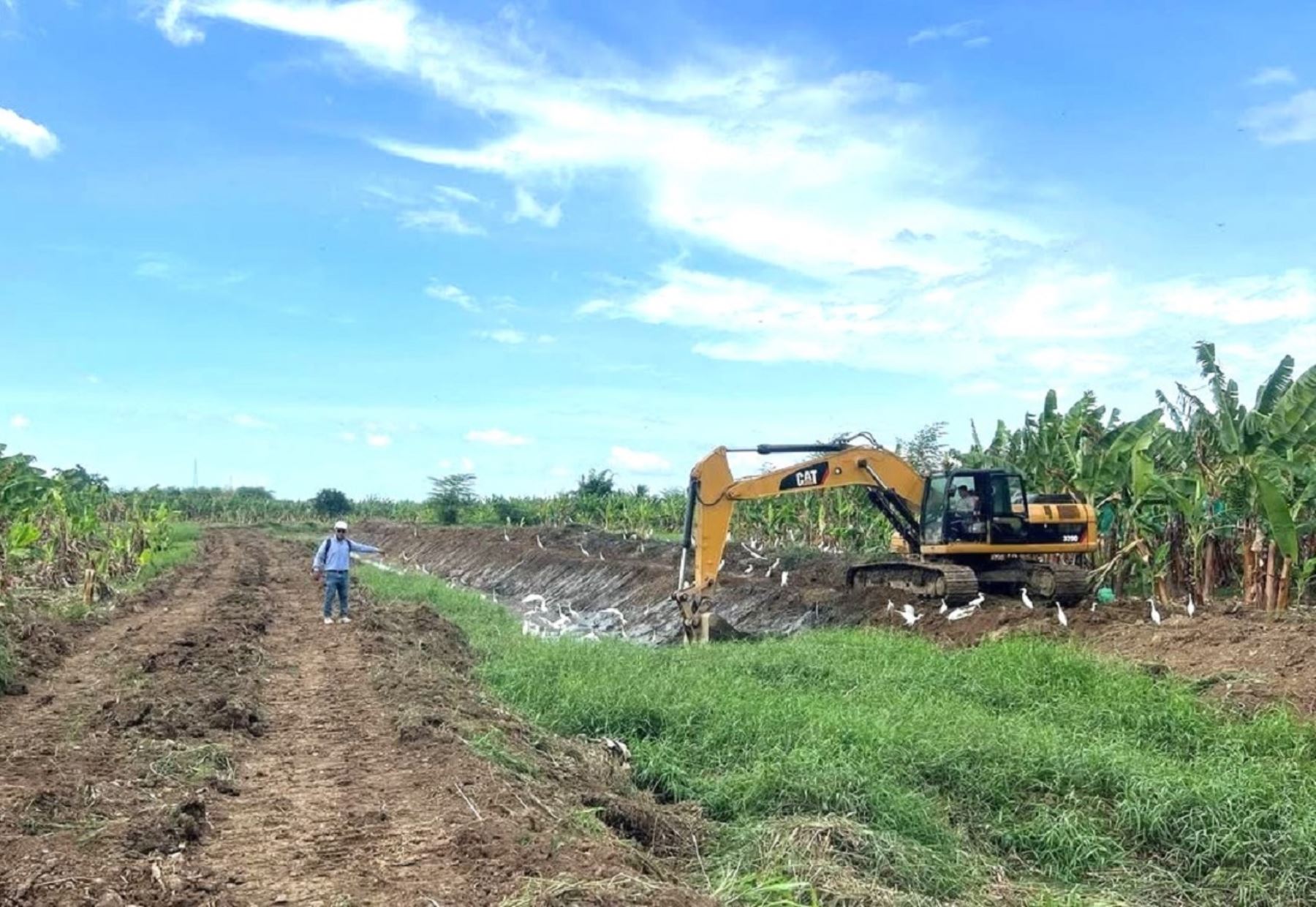 El Proyecto Especial Binacional Puyango Tumbes (PEBPT) ejecuta trabajos de descolmatación en zonas vulnerables de Tumbes para evitar inundaciones. ANDINA/Difusión