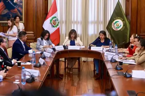 ANDINA/Difusión