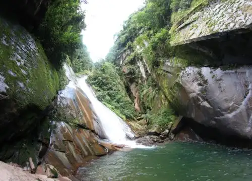 La futura área de conservación regional (ACR) Velo de la Novia, en la región Ucayali, destaca por su hermosa caída de agua y por albergar una variada flora y fauna. Foto: ANDINA/difusión.
