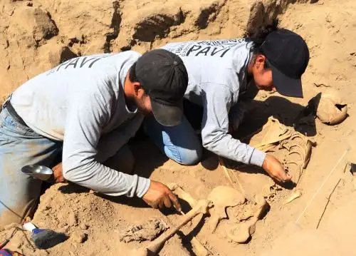 Investigadores peruanos del Proyecto Arqueológico Valle de Virú, encabezados por Feren Castillo, descubren un sacrificio de origen chimú en templo precerámico huaca El Cerrito 2, ubicado en el valle de Virú, región La Libertad. Foto: Luis Puell