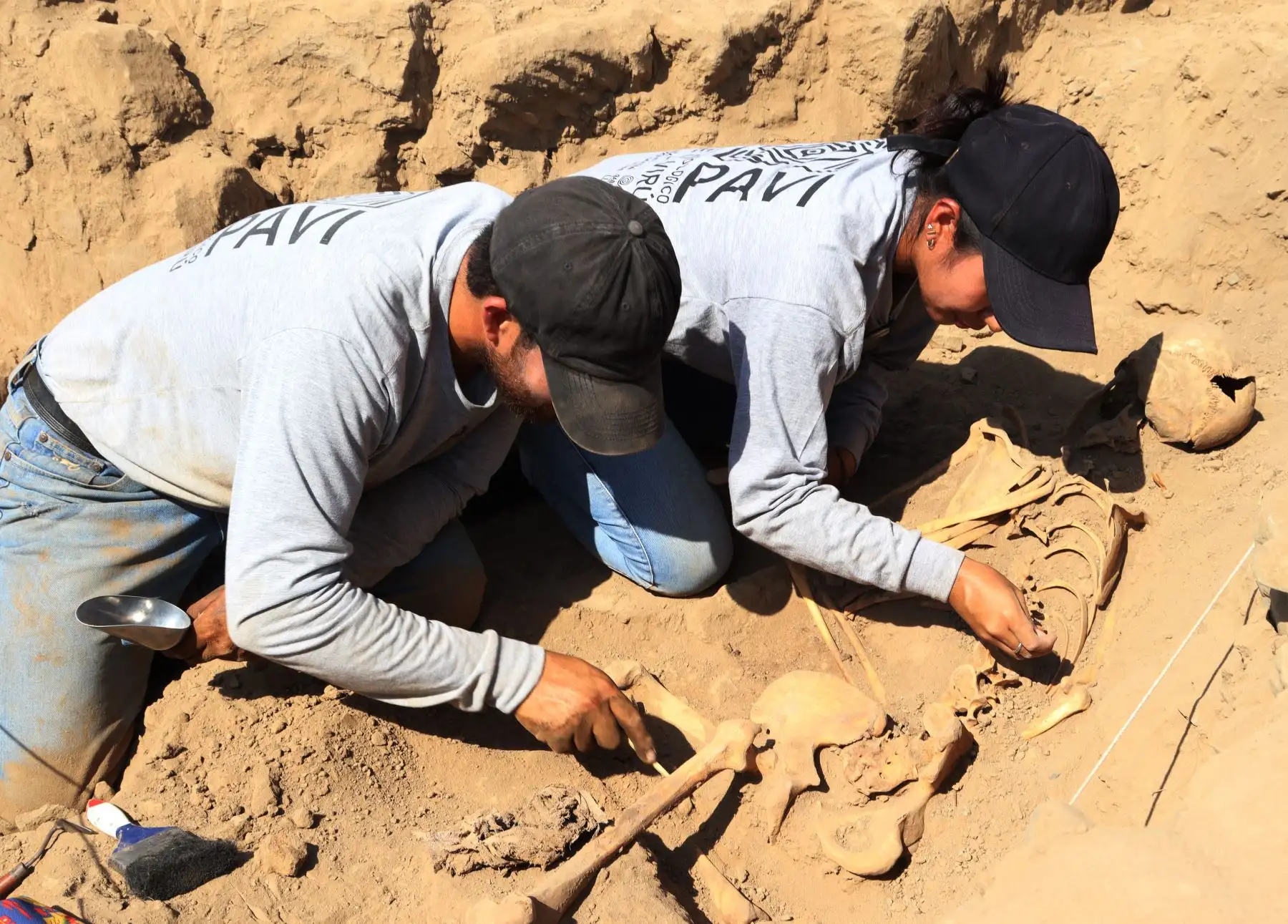Investigadores peruanos del Proyecto Arqueológico Valle de Virú, encabezados por Feren Castillo, descubren un sacrificio de origen chimú en templo precerámico huaca El Cerrito 2, ubicado en el valle de Virú, región La Libertad. Foto: Luis Puell