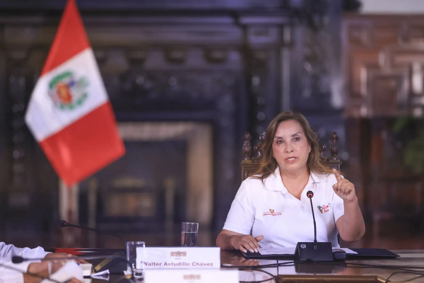 ANDINA/Prensa Presidencia