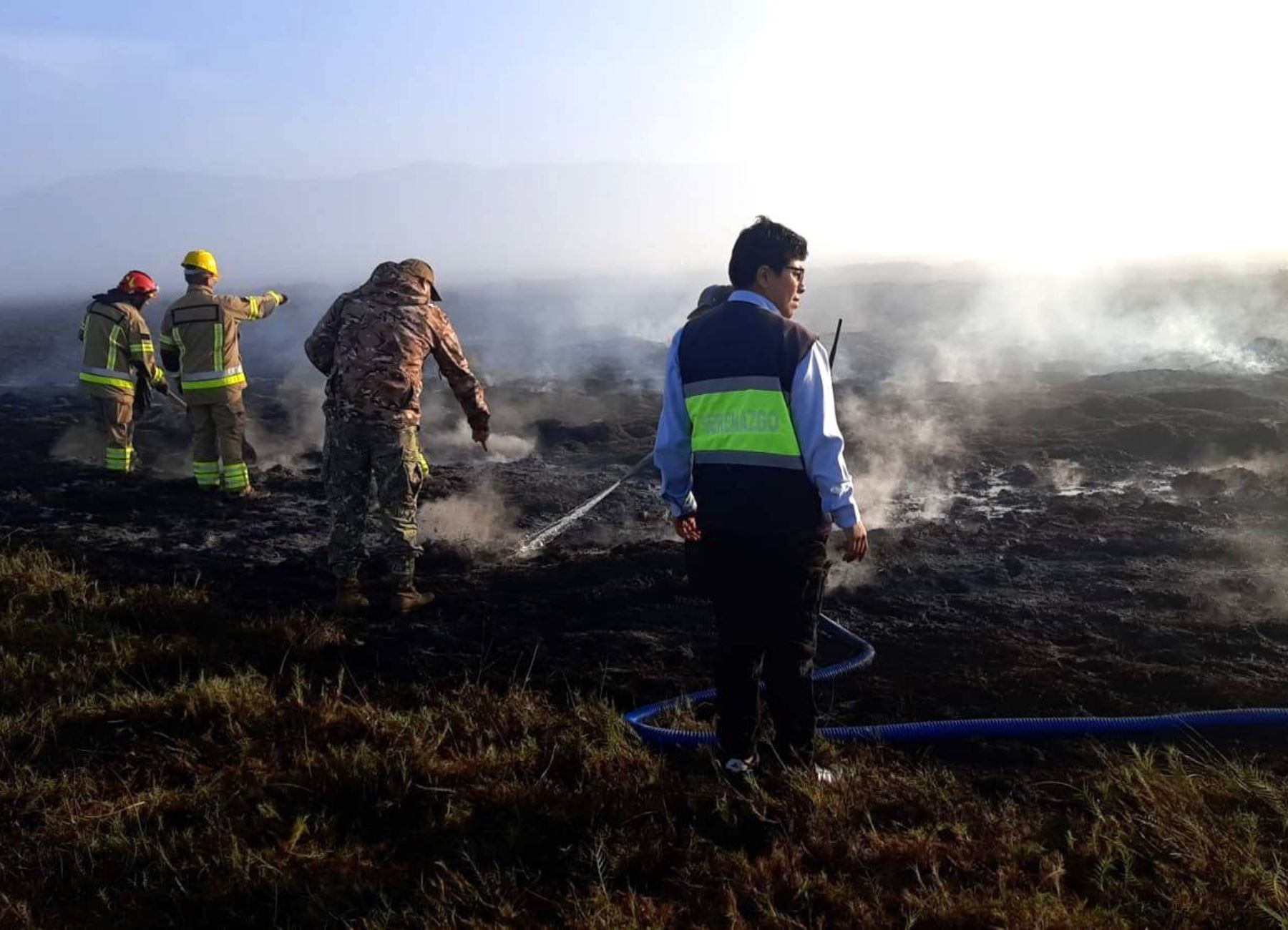 Un incendio forestal de grandes proporciones arrasó con más de 15 hectáreas de cobertura natural del Santuario Nacional Lagunas de Mejía, ubicado en la región Arequipa. ANDINA/Difusión