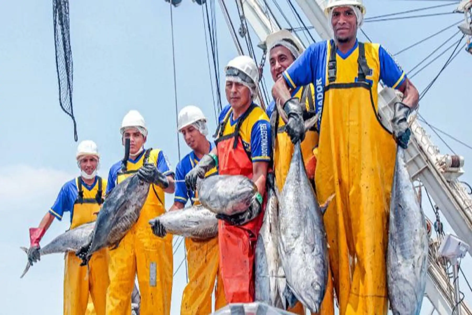 Pesca de atún. ANDINA/Difusión
