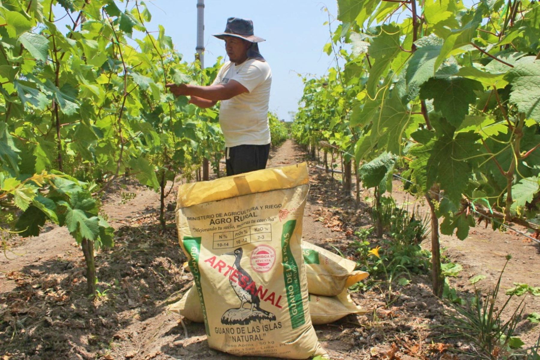 Parte de los insumos que recibirán los beneficiarios del bono agrícola aprobado. Foto: ANDINA/Difusión