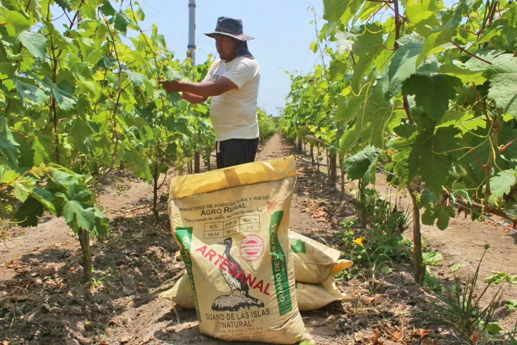 Parte de los insumos que recibirán los beneficiarios del bono agrícola aprobado. Foto: ANDINA/Difusión