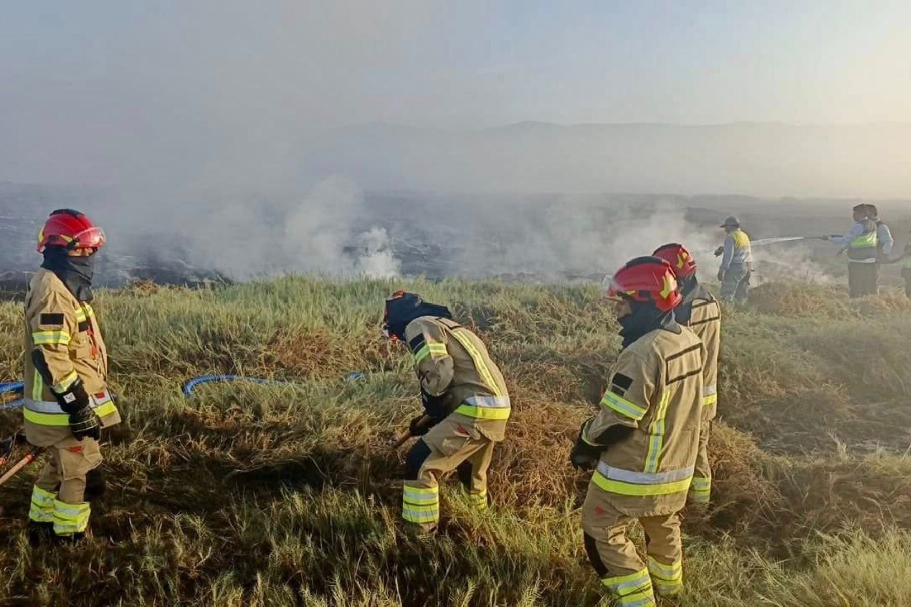 Personal militar se sumó a las labores para controlar incendio forestal en el santuario nacional Lagunas de Mejía. Foto: ANDINA/Mindef