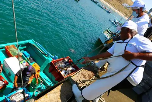 La inocuidad se reforzará con las modificaciones al reglamento sobre el manejo de productos marinos. ANDINA/Difusión