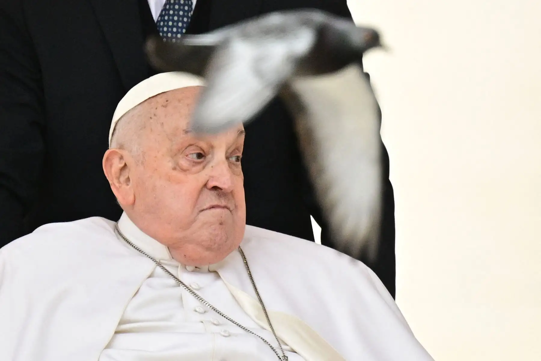 Una paloma vuela junto al Papa Francisco al final de la misa del Domingo de Ramos en la plaza de San Pedro del Vaticano. Foto: ANDINA/AFP