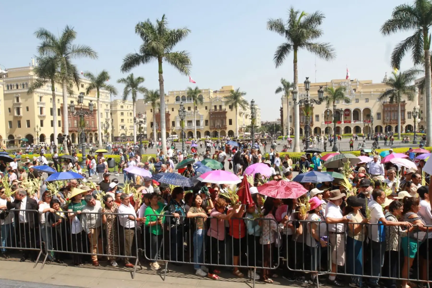Cientos de personas participan en la liturgia del Domingo de Ramos en distintas parroquias del país. Foto: ANDINA/ Verónica Calderón