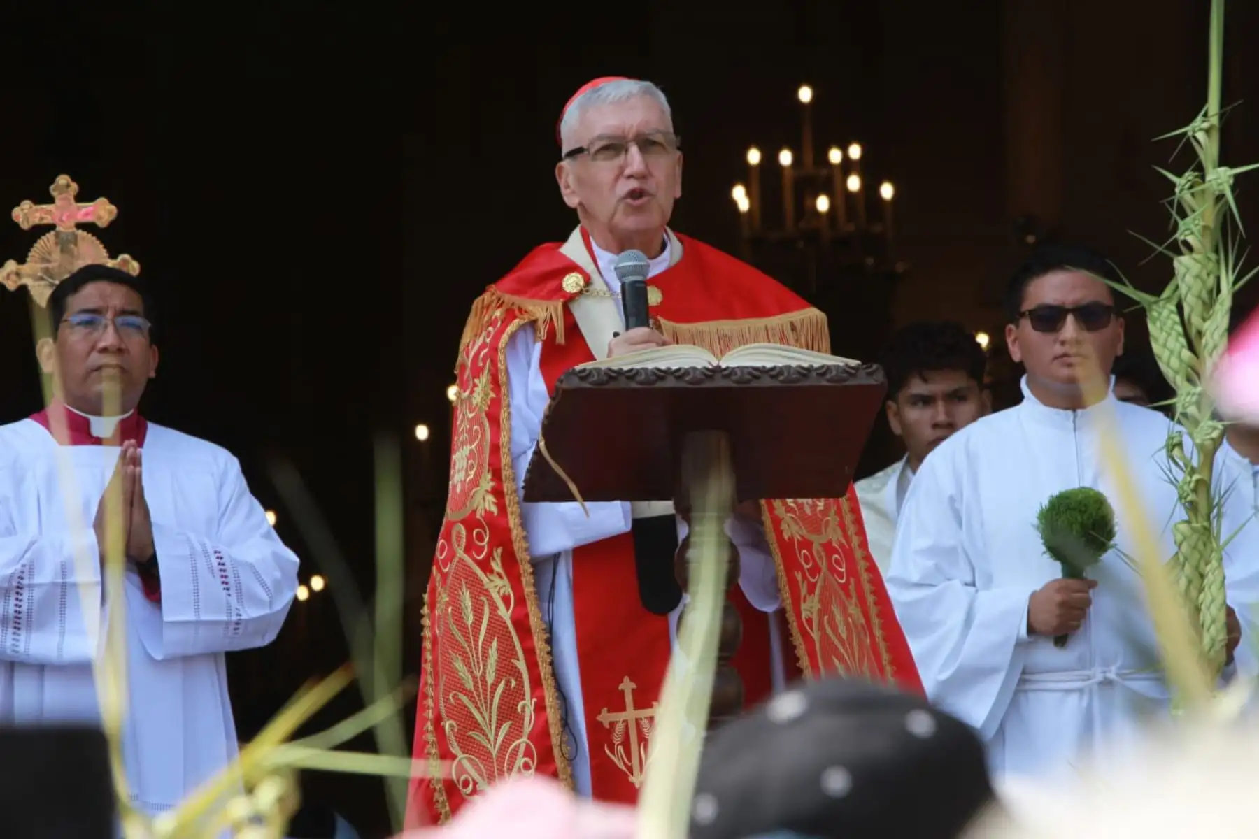 Con palmas en mano, los creyentes asisten a misa para dar inicio a la Semana Santa. Foto: ANDINA/ Verónica Calderón