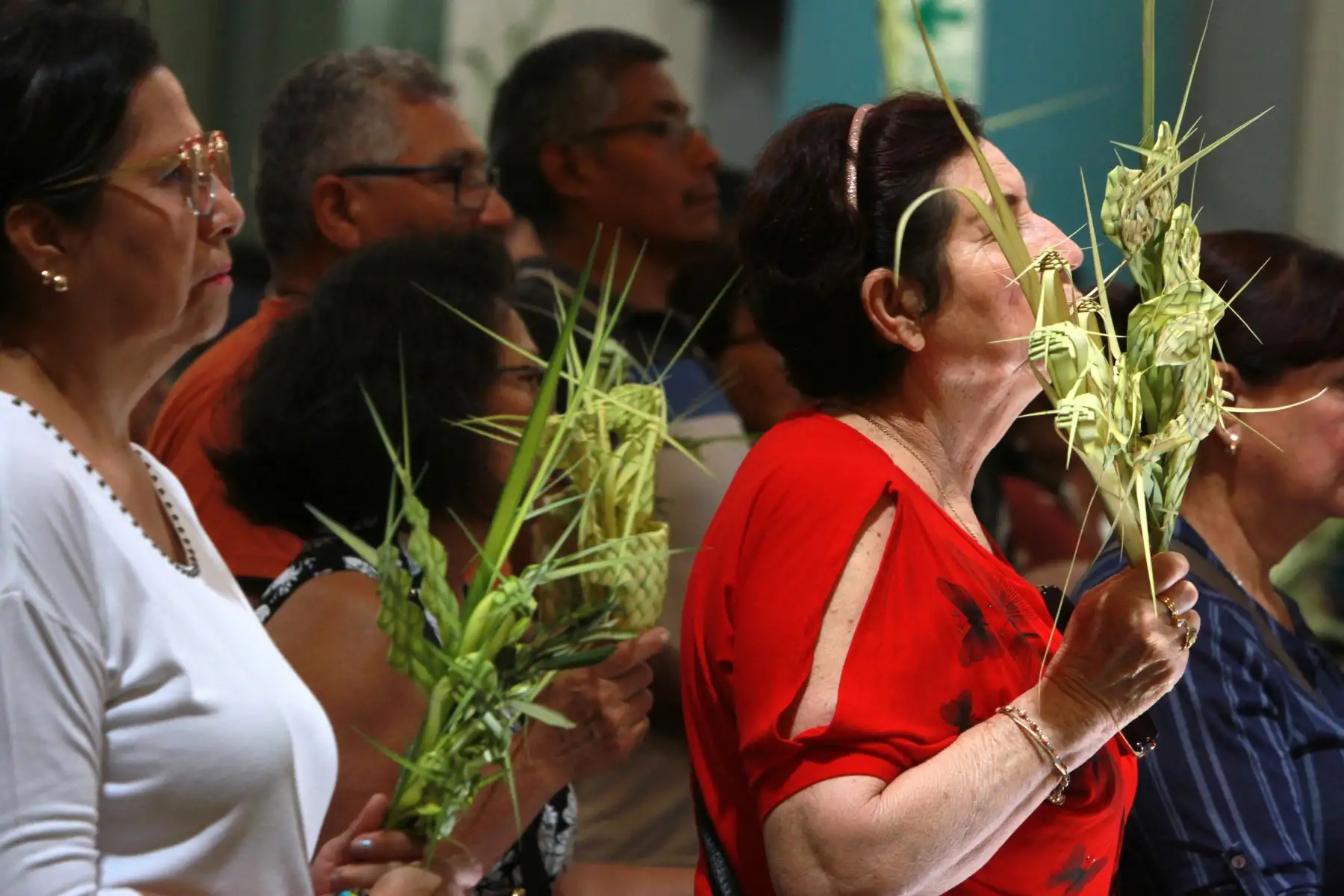 Con palmas en mano, los creyentes asisten a misa para dar inicio a la Semana Santa. Foto: ANDINA/ Verónica Calderón
