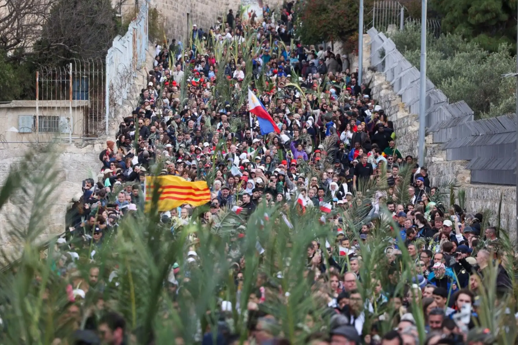 Los fieles cristianos levantan ramas de palma y banderolas mientras marchan por una calle durante la tradicional procesión del Domingo de Ramos en el Monte de los Olivos en Jerusalén, Israel, el 13 de abril de 2025. Foto: AFP