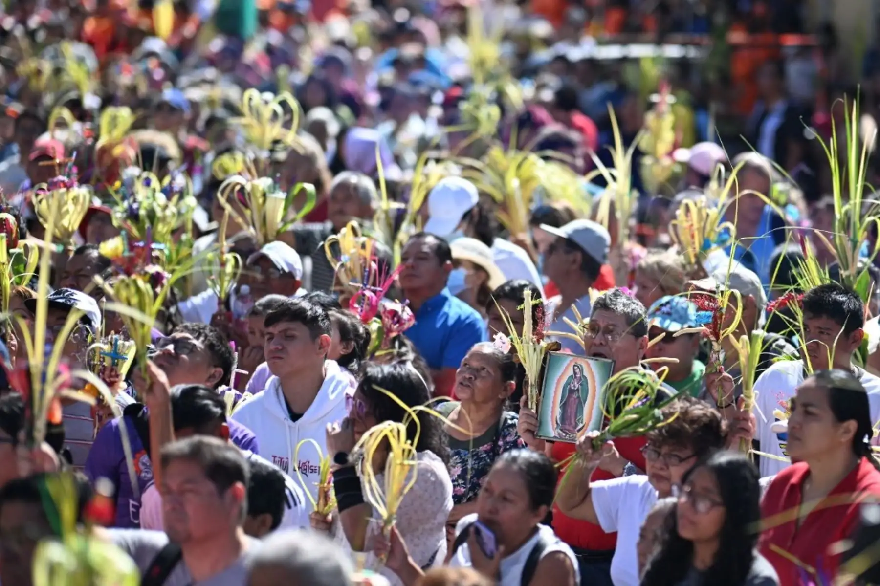 Fieles católicos participan en una misa de Domingo de Ramos durante el inicio de la Semana Santa en el centro histórico de San Salvador, en el país centroamericano de El Salvador, el 13 de abril de 2025. Foto: AFP