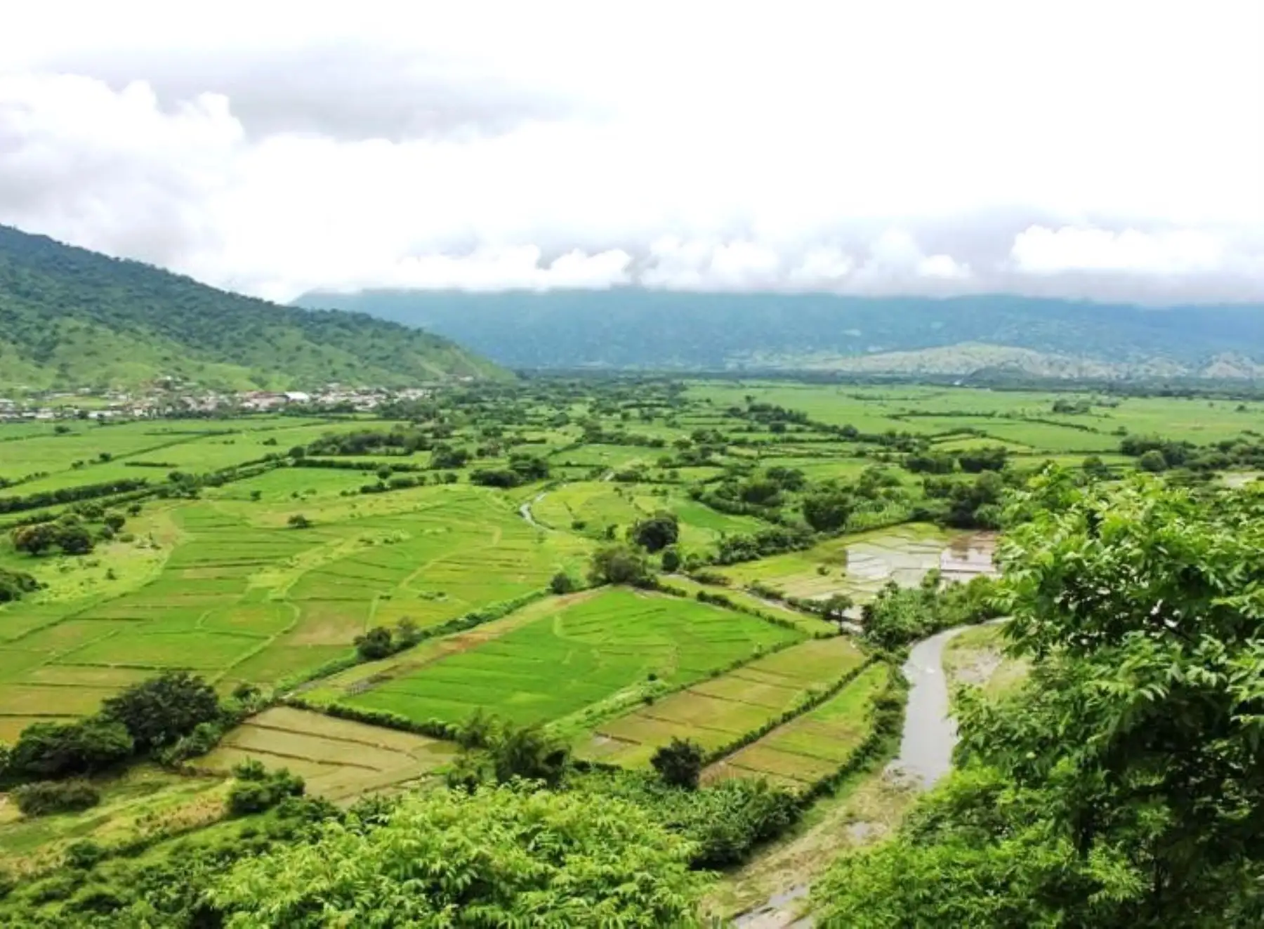 El Proyecto Especial de Irrigación Hidroenergético Alto Piura impulsará el sector agrícola, generará más de 100,000 empleos directos e indirectos e incrementará la seguridad alimentaria en la región Piura. Foto: ANDINA/difusión.